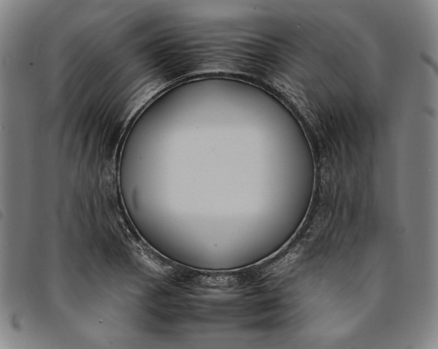 X0000094971129200712131449