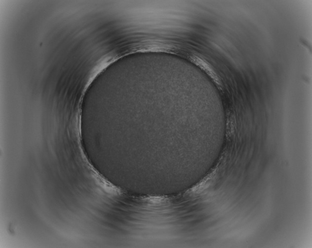 X0000094971130200712131449