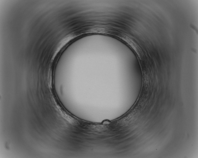 X0000094971131200712131449