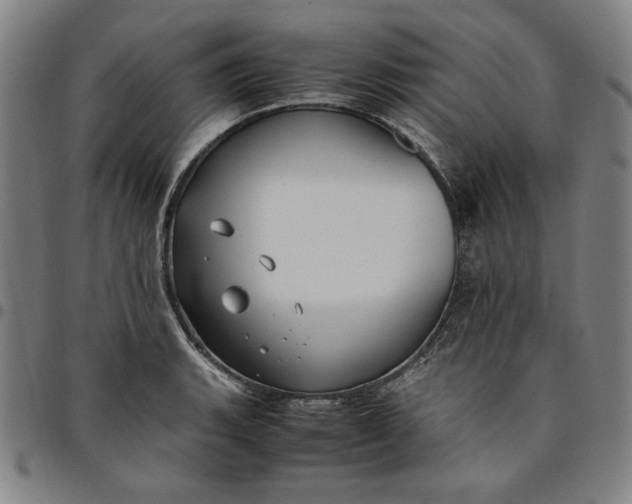 X0000094971135200712131449