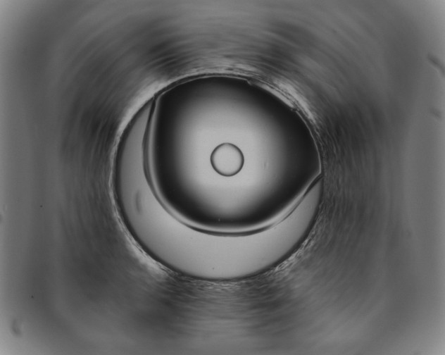 X0000094971136200712131449