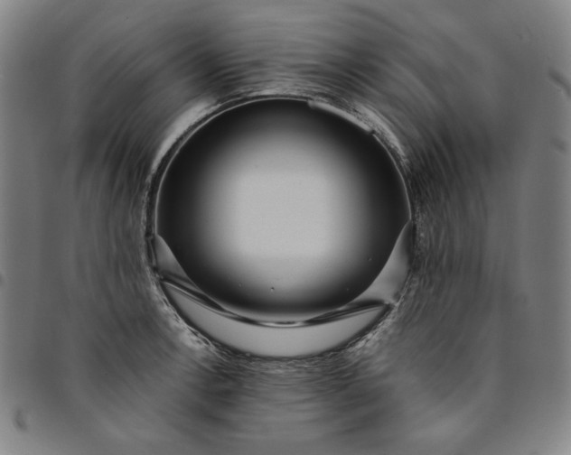 X0000094971138200712131449