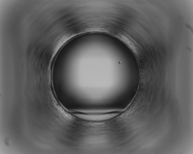 X0000094971140200712131449