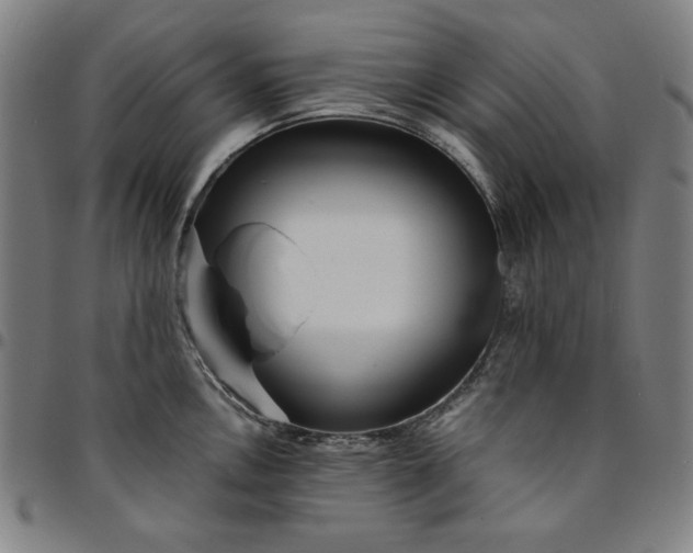 X0000094971146200712131449