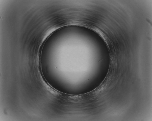 X0000094971147200712131449