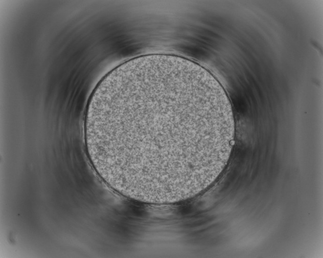 X0000094971150200712131449