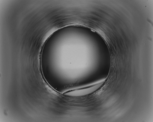 X0000094971151200712131449