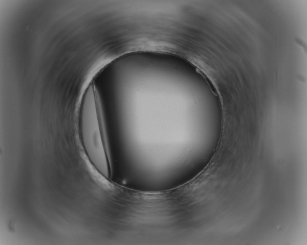 X0000094971152200712131449