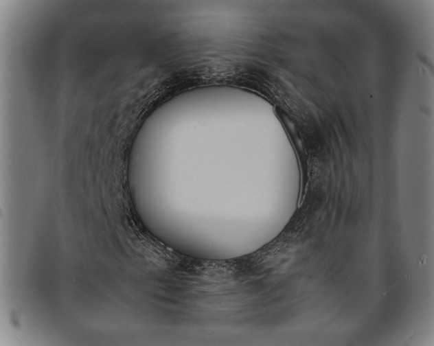 X0000094971153200712131448