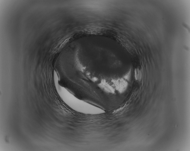 X0000094971155200712131448