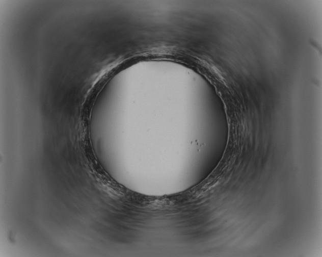 X0000094971160200712131448