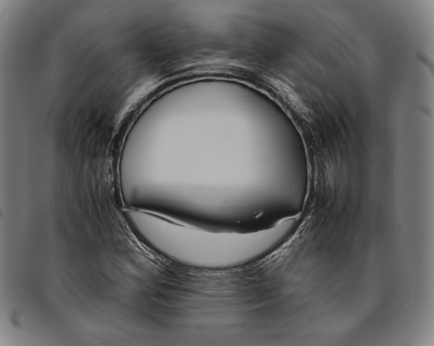 X0000094971164200712131448