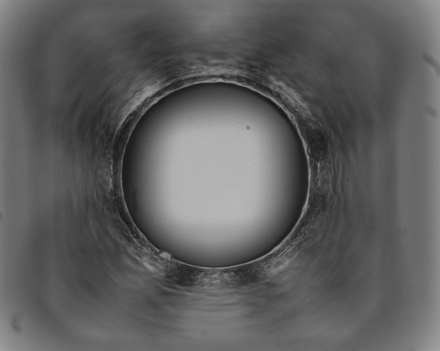 X0000094971165200712131448