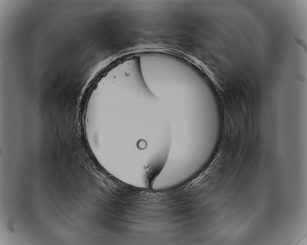 X0000094971168200712131448