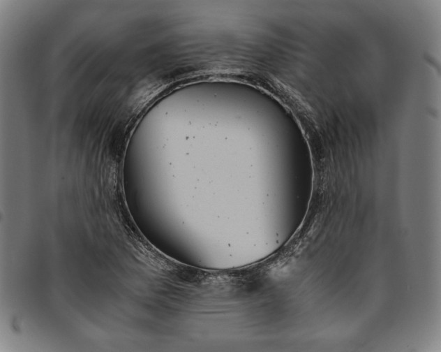 X0000094971169200712131448