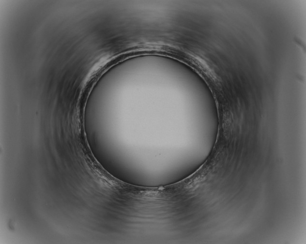 X0000094971172200712131448