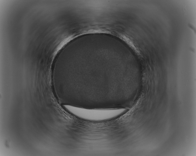 X0000094971173200712131448