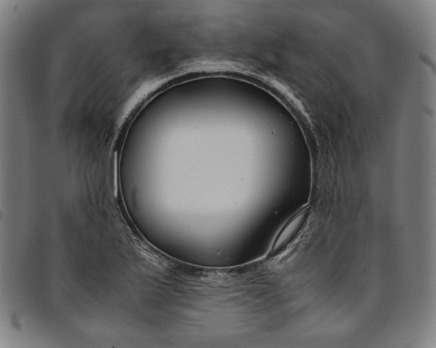 X0000094971175200712131448