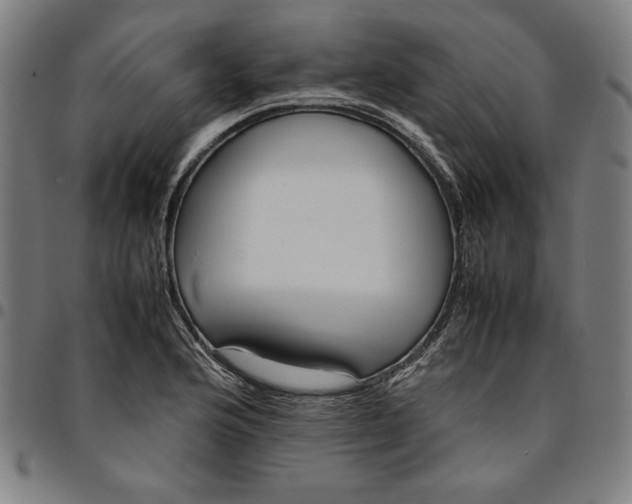 X0000094971176200712131448