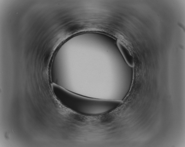 X0000094971181200712131448