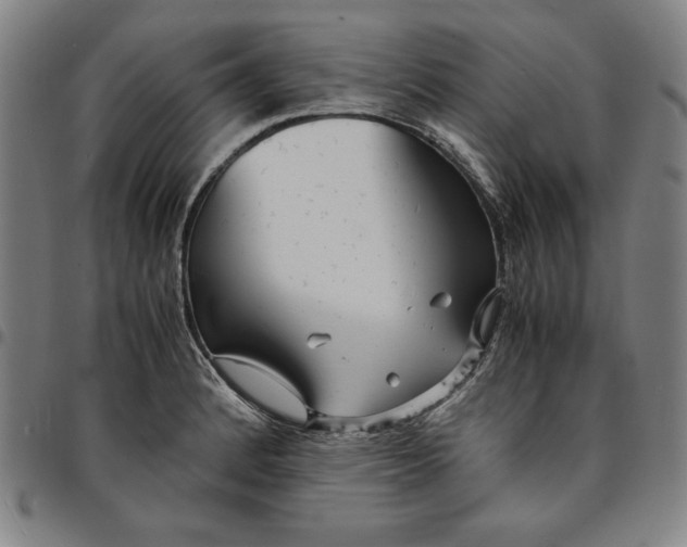 X0000094971184200712131448