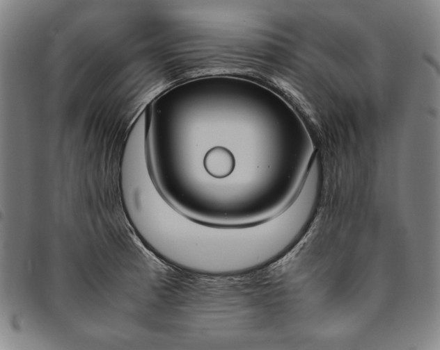 X0000094971185200712131448