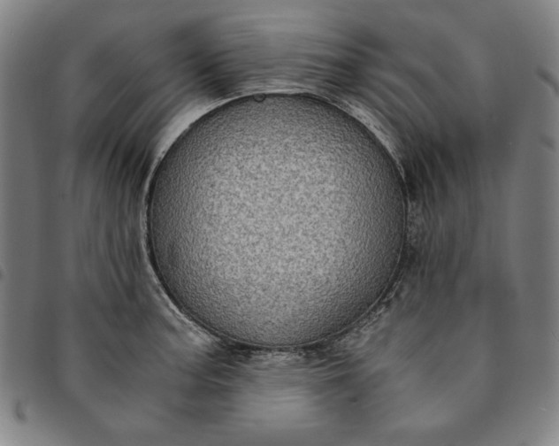 X0000094971187200712131448