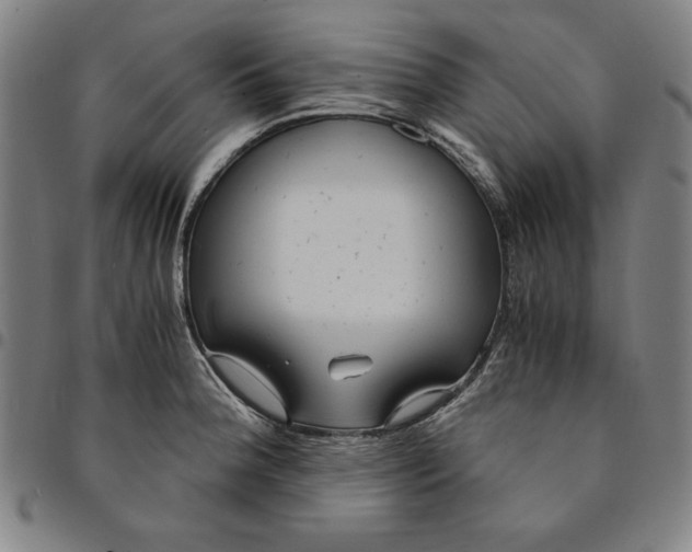 X0000094971188200712131448