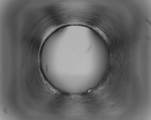 X0000094971191200712131448