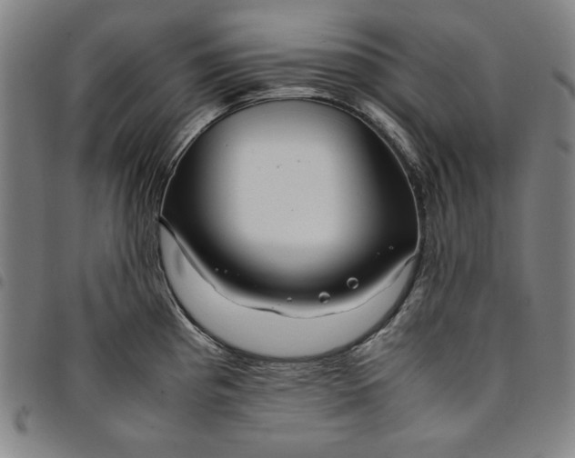 X0000094971193200712131448