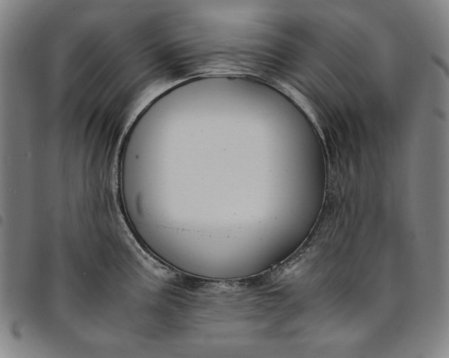 X0000094971195200712131448