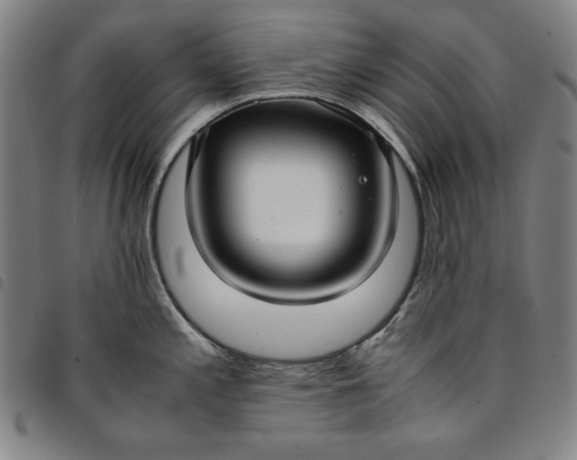 X0000094971197200712131447