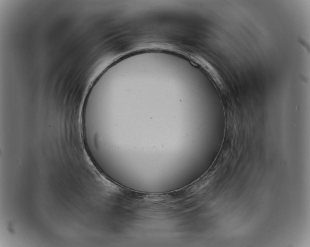 X0000094971199200712131447