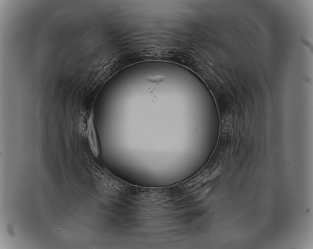 X0000094971202200712131446