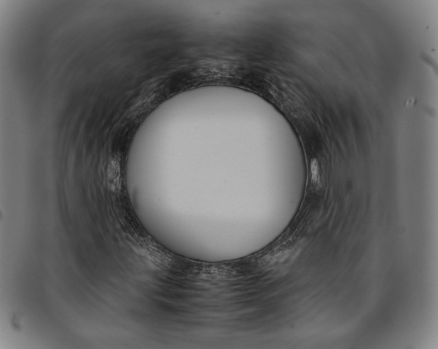 X0000094971203200712131446