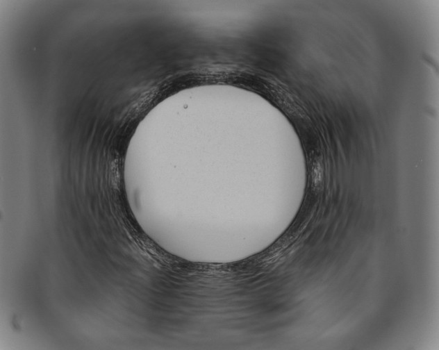 X0000094971204200712131446