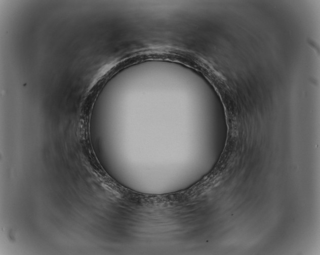 X0000094971208200712131447