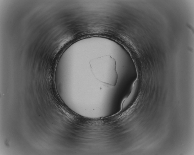 X0000094971210200712131447