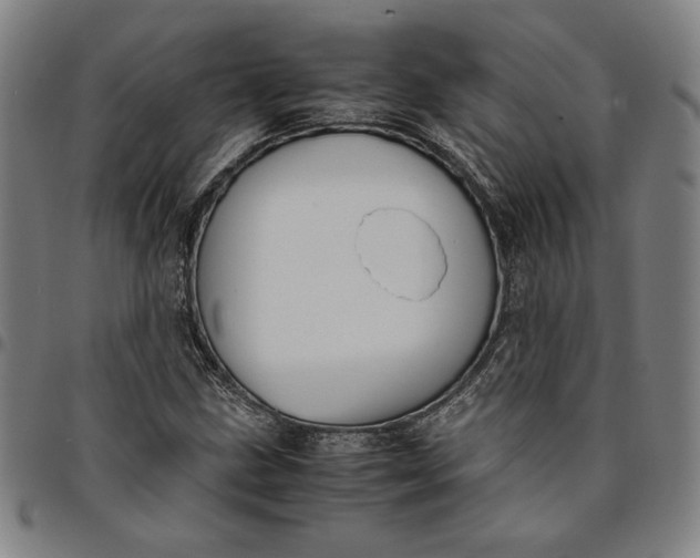 X0000094971211200712131447