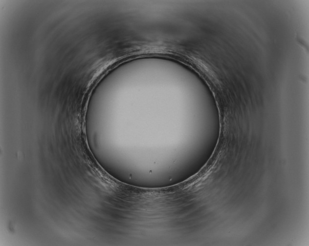 X0000094971212200712131447