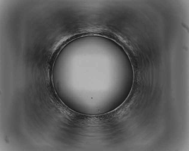 X0000094971214200712131447