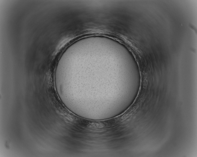 X0000094971215200712131447