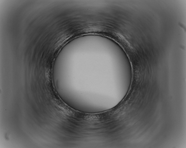 X0000094971217200712131447