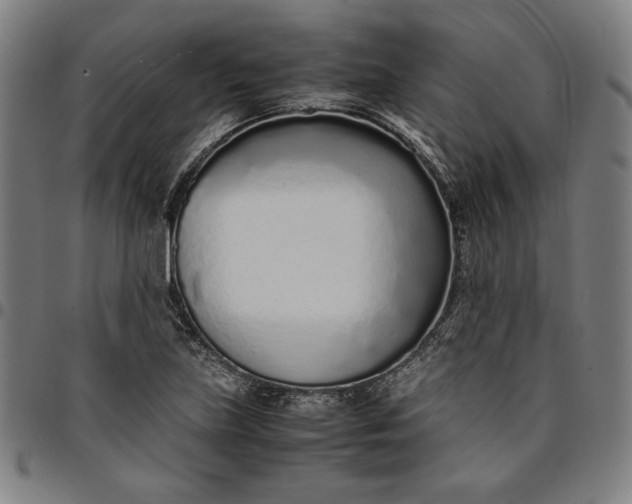 X0000094971219200712131447