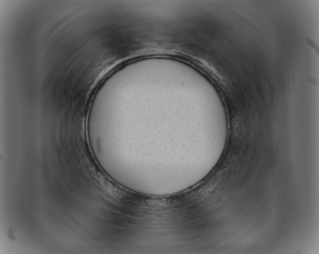 X0000094971220200712131447