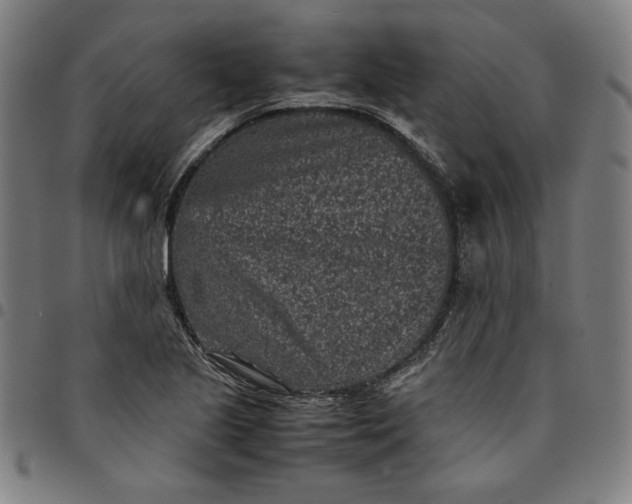 X0000094971221200712131447