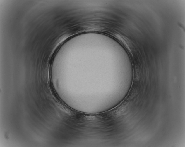 X0000094971227200712131447