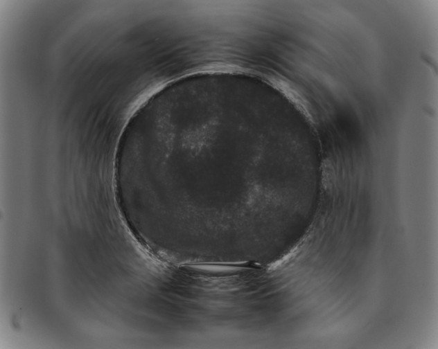 X0000094971229200712131447