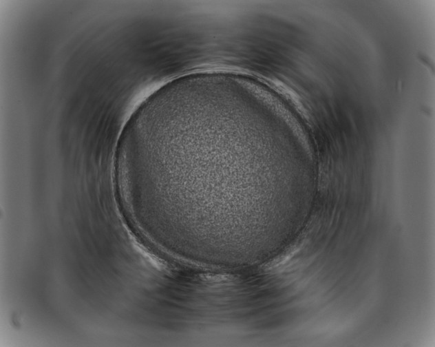 X0000094971231200712131447