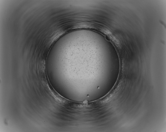 X0000094971233200712131447